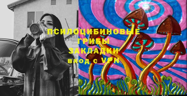 гидропоника Абаза